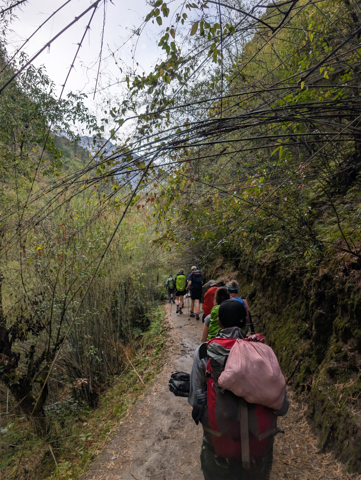 Trekking Tag 2