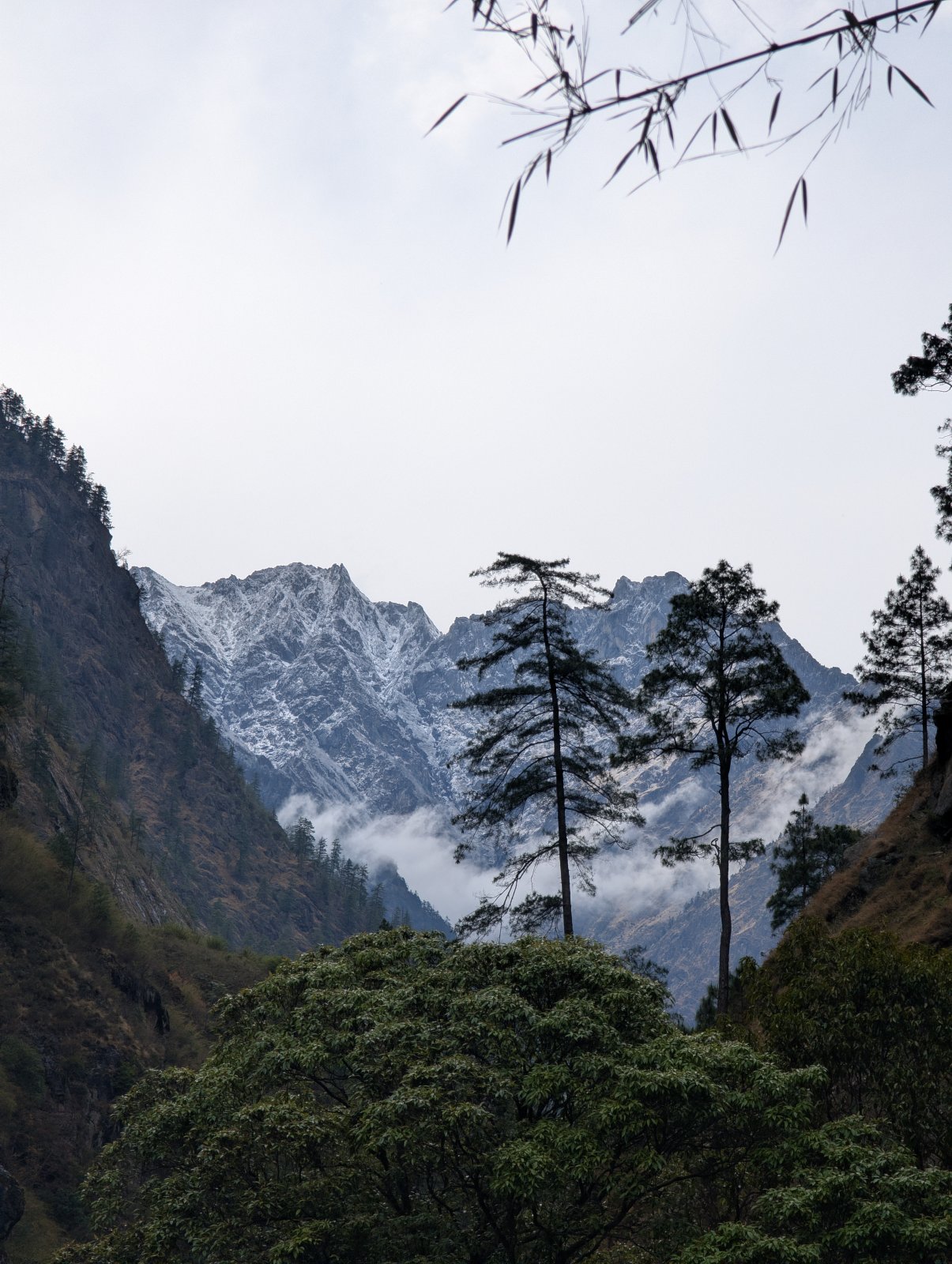 Trekking Tag 2