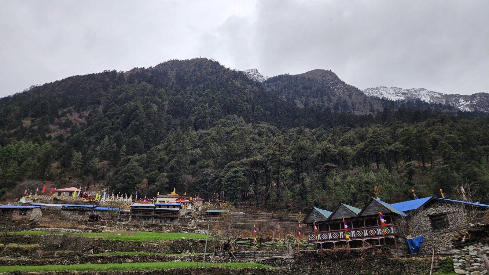 Trekking Tag 4