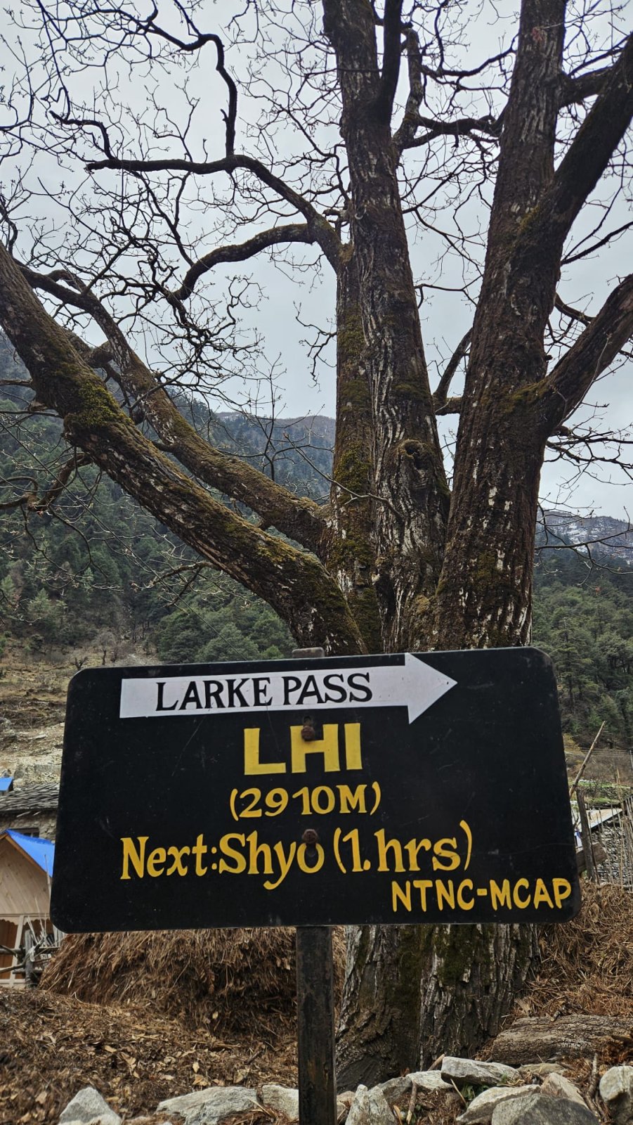 Trekking Tag 4