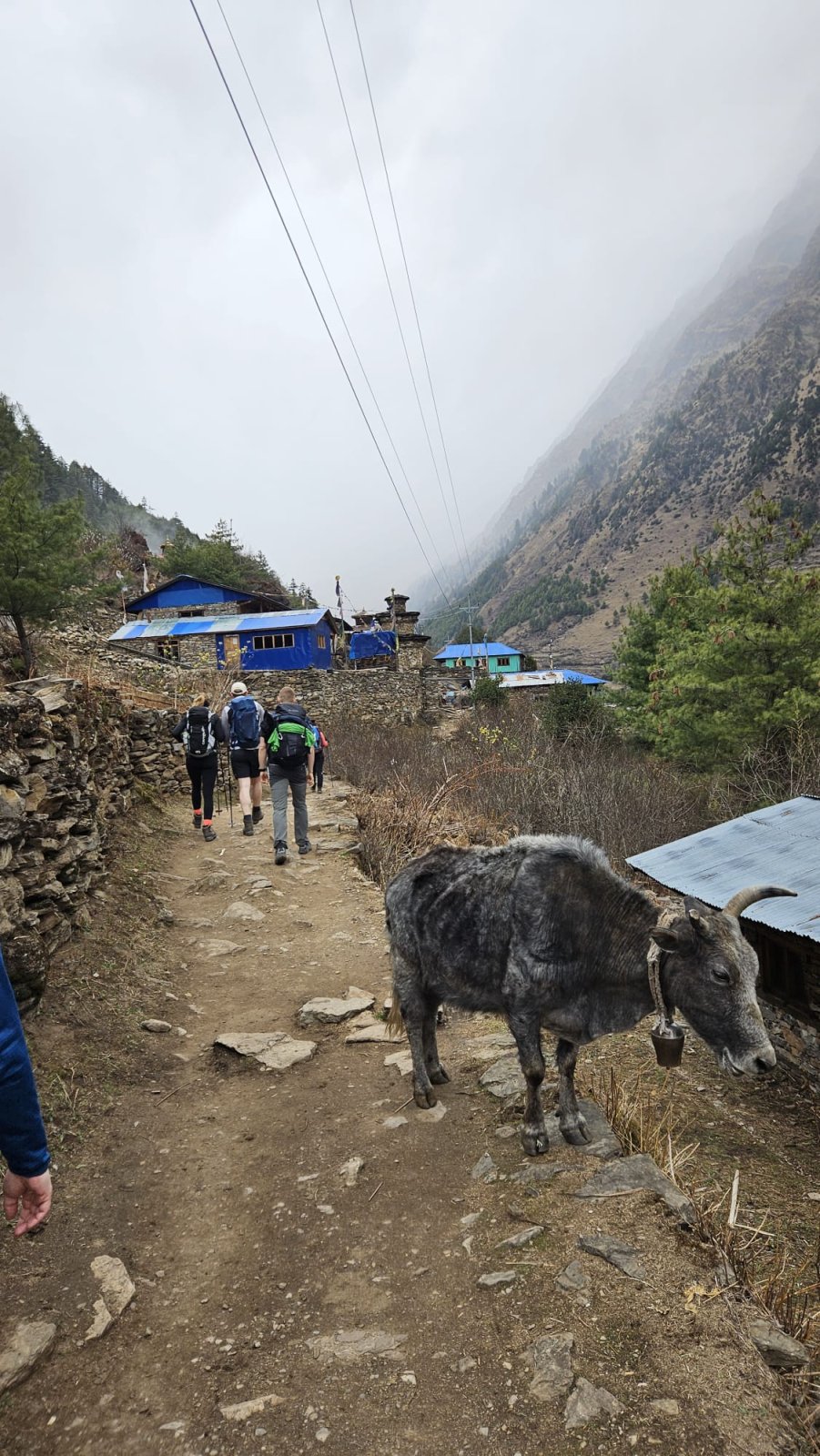 Trekking Tag 4