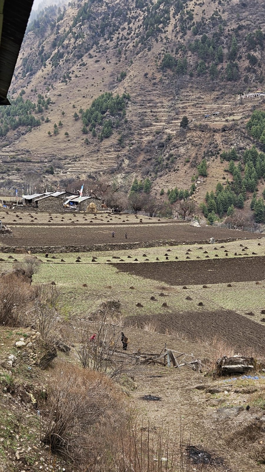 Trekking Tag 4