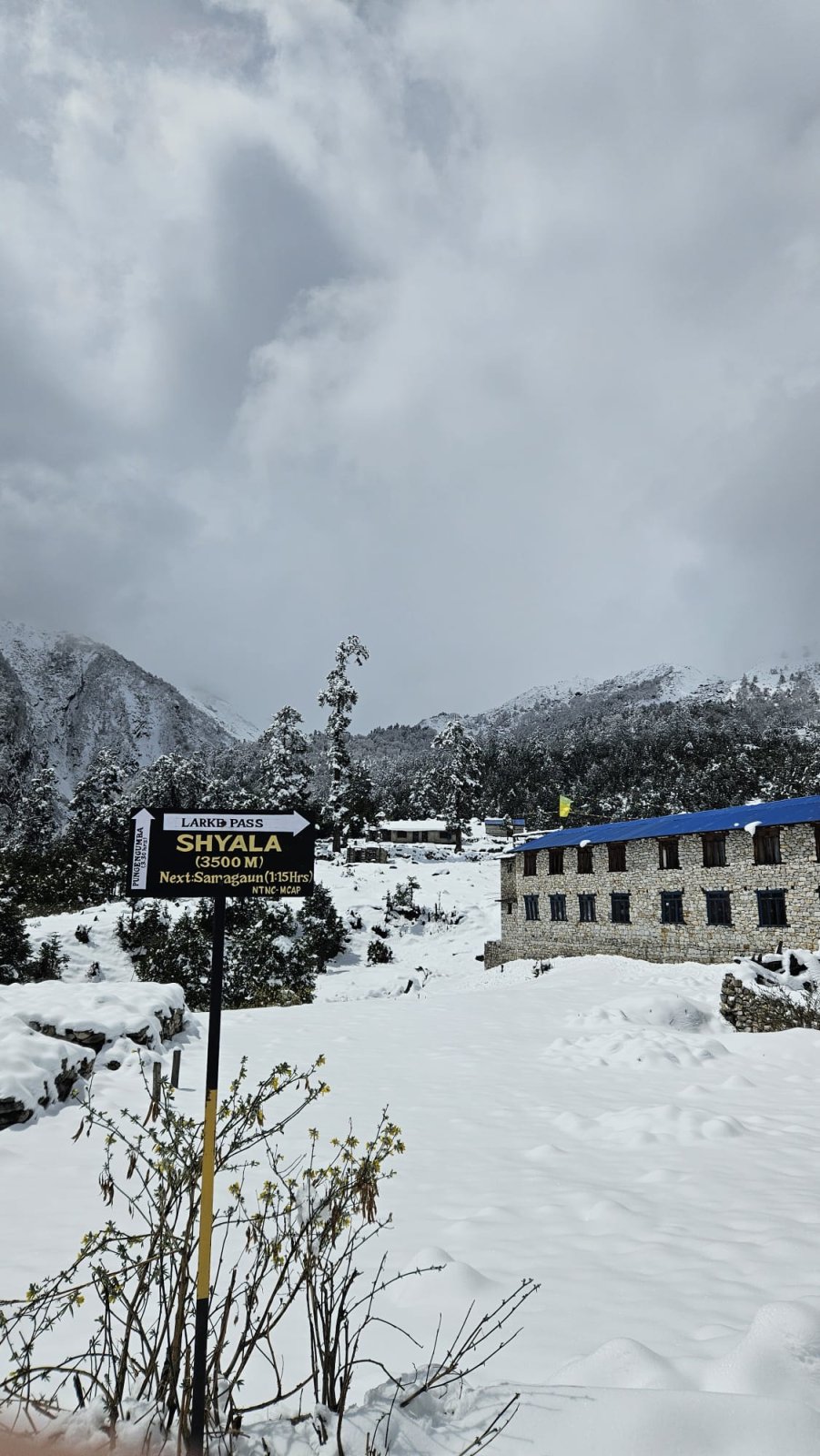 Trekking Tag 5