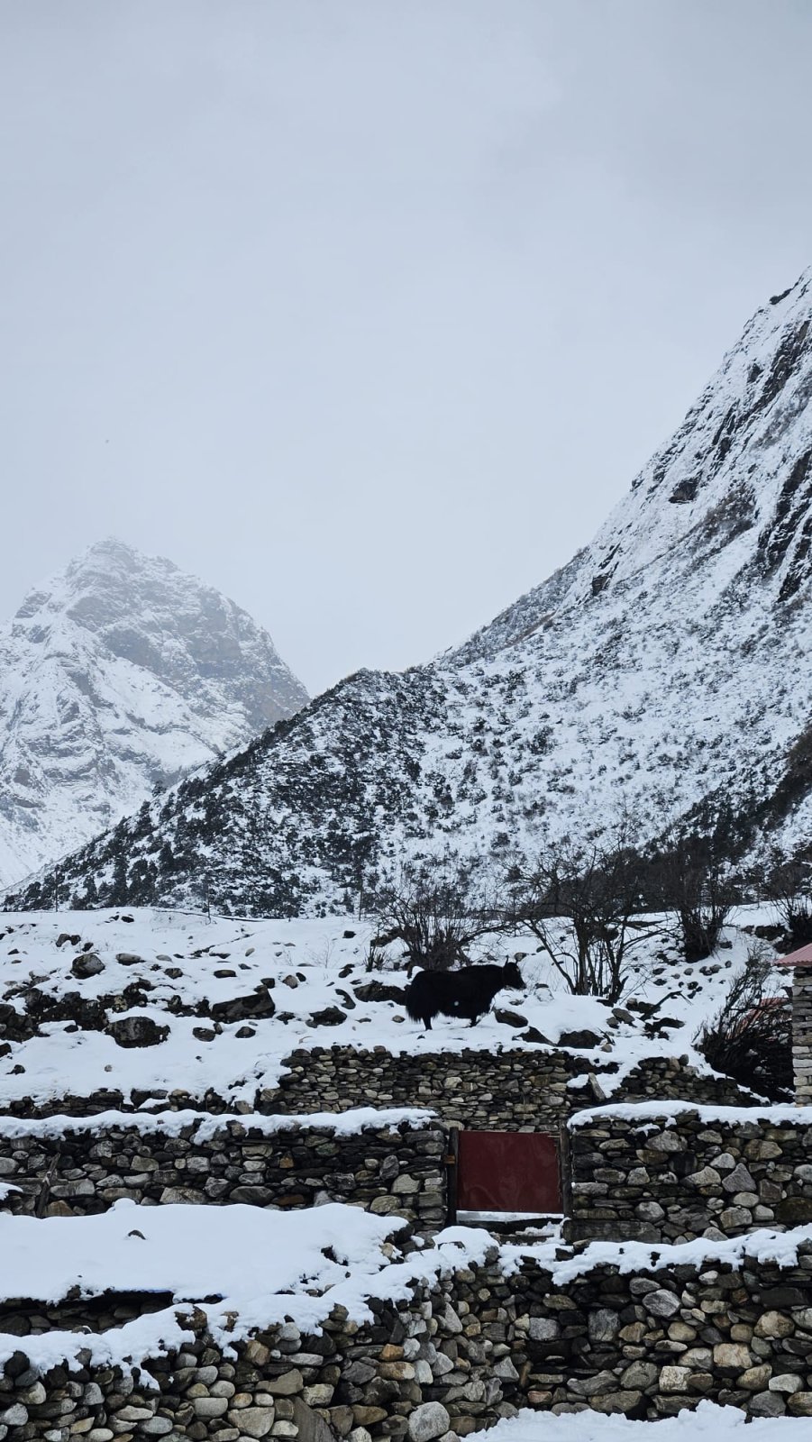 Trekking Tag 5