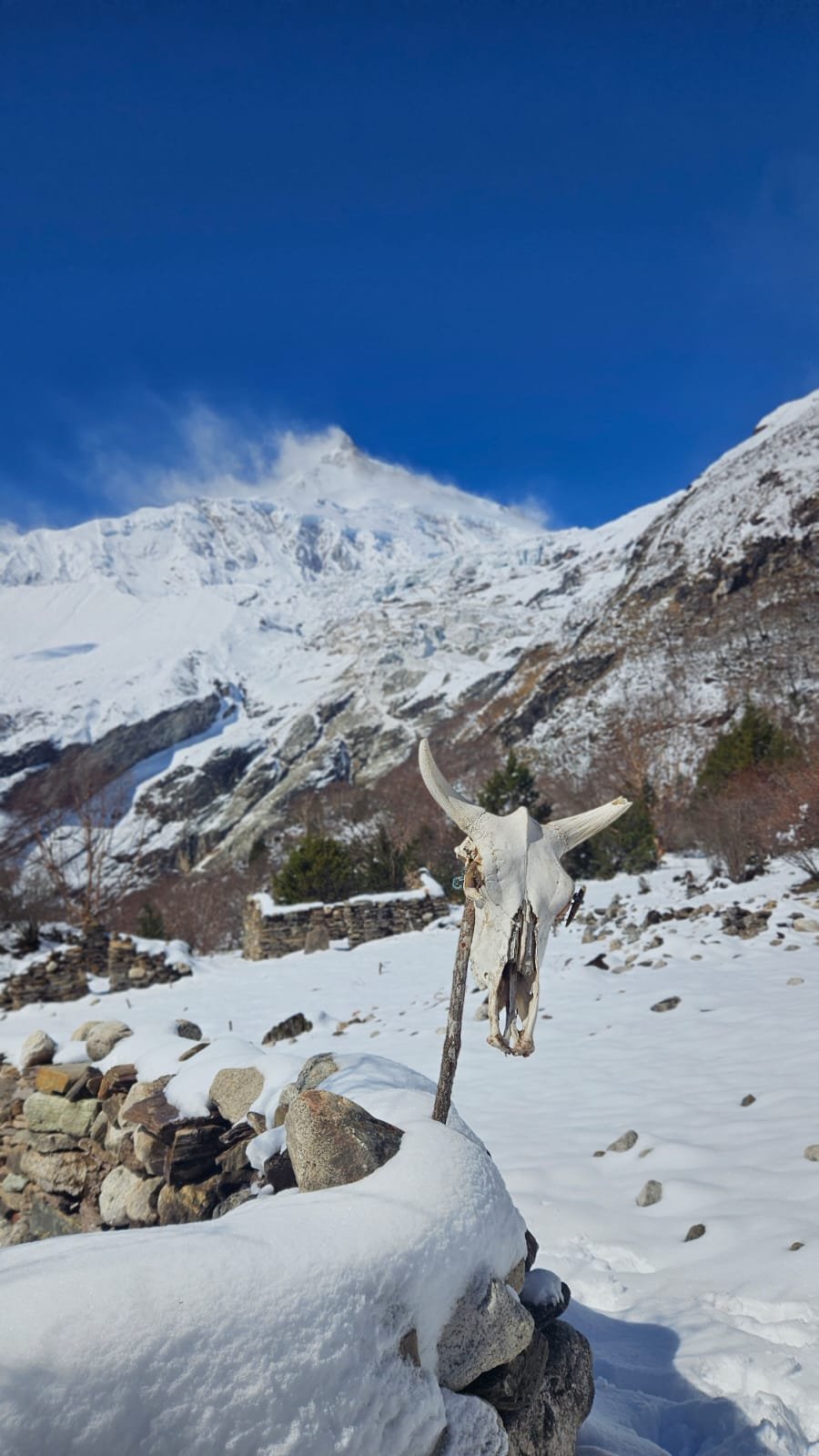 Trekking Tag 6