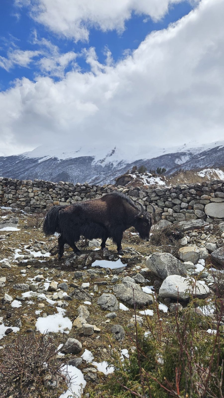 Trekking Tag 6