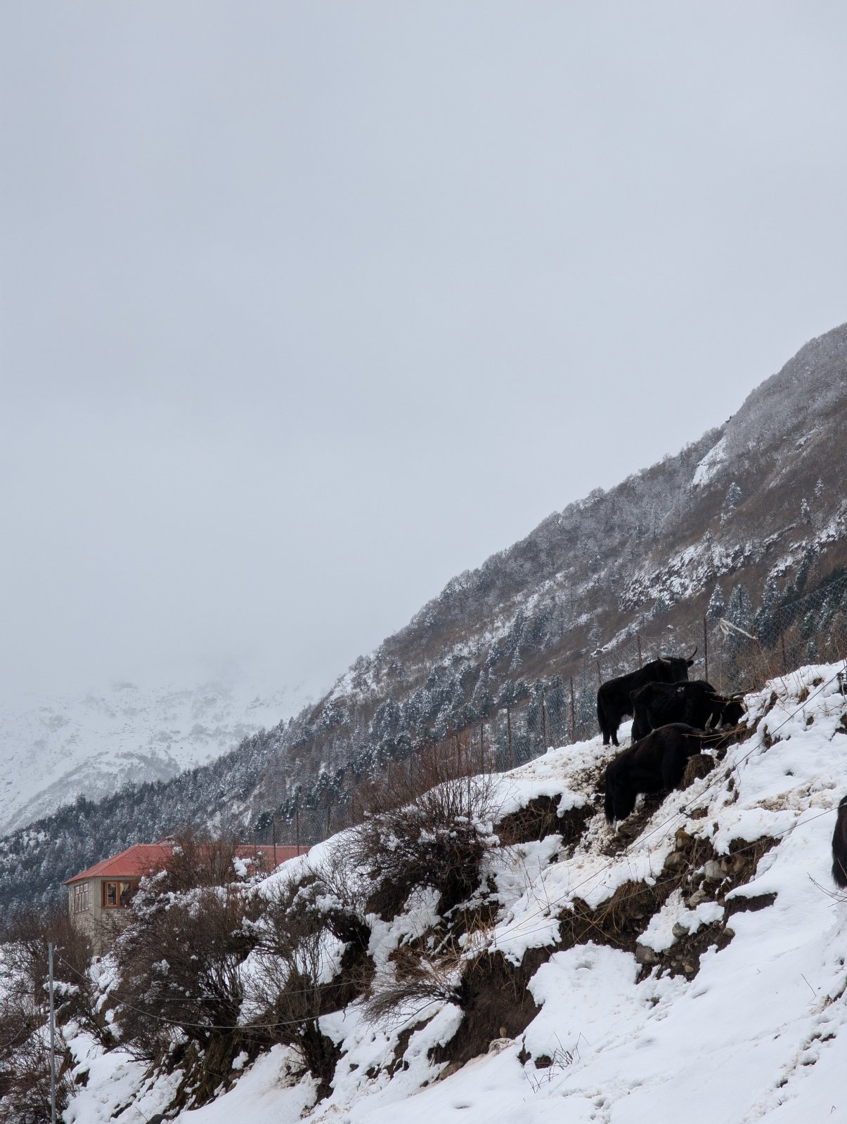 Trekking Tag 5