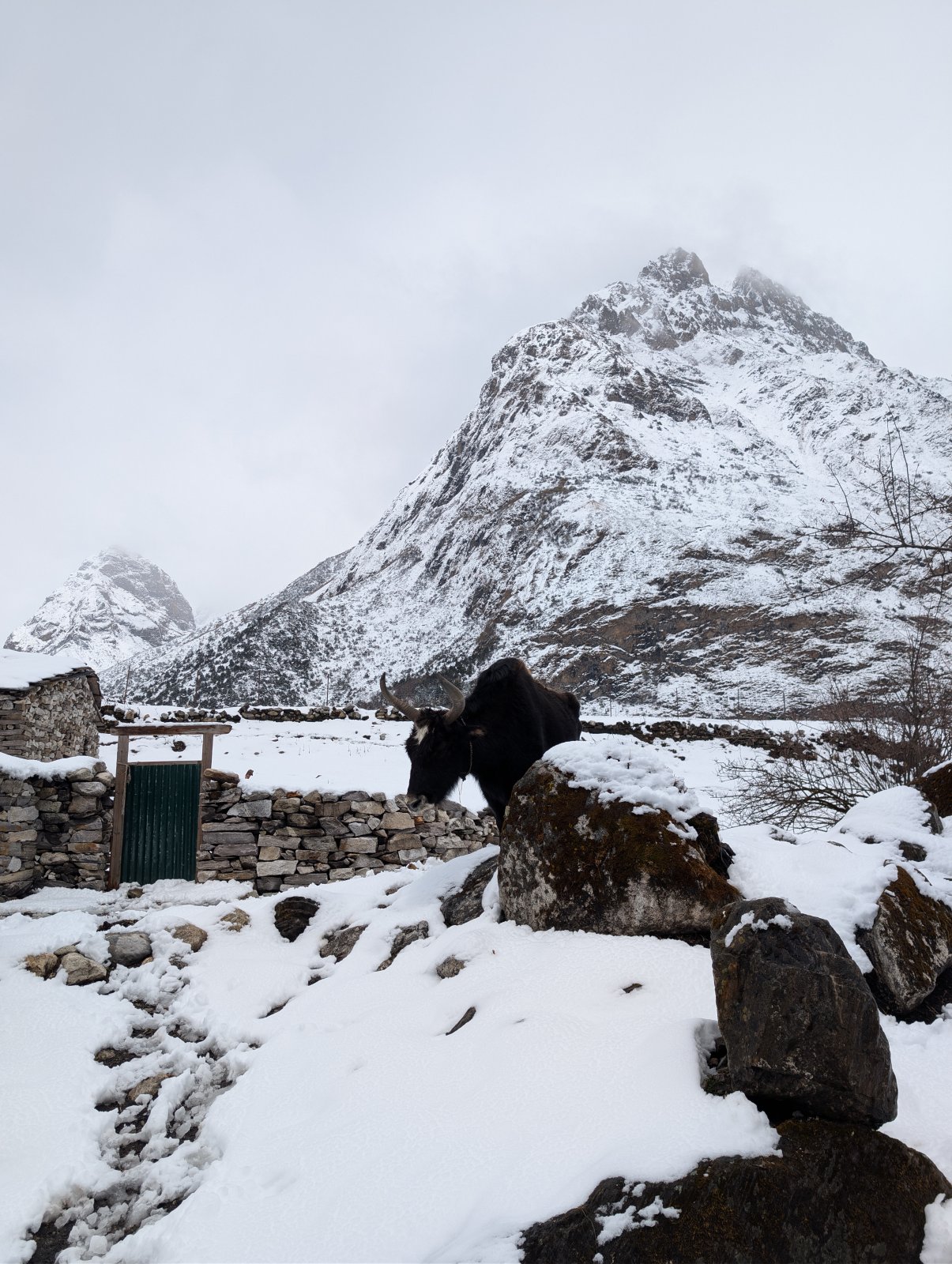 Trekking Tag 5