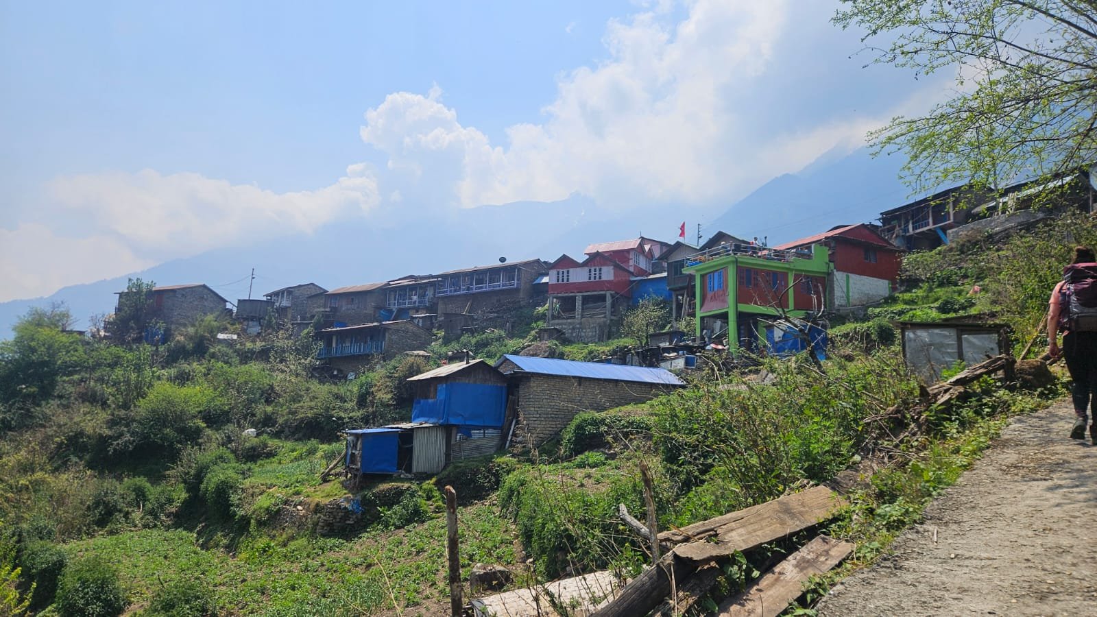 Abstieg von Bimthang über Goa nach Dharapani