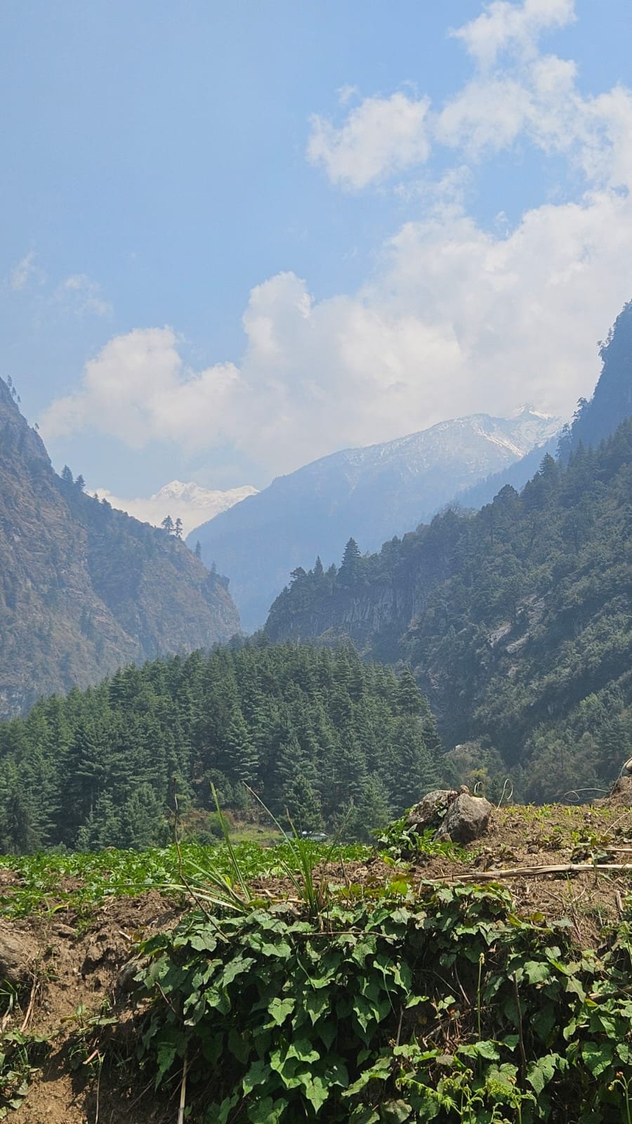 Abstieg von Bimthang über Goa nach Dharapani